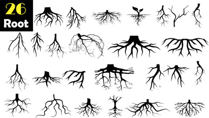 Collection of 26 root illustrations. Each black and white vector showcases the intricate details of various roots, perfect for educational materials, botanical studies, or artistic projects. - obrazy, fototapety, plakaty