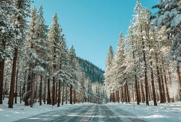  Winter road © Galyna Andrushko
