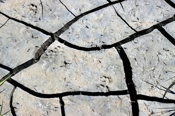 Trockenheit