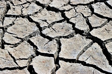 Trockenheit