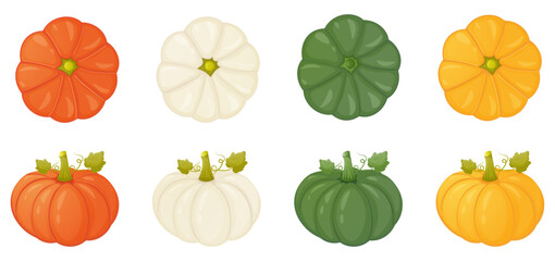View in front and from above different color pumpkin collection - obrazy, fototapety, plakaty