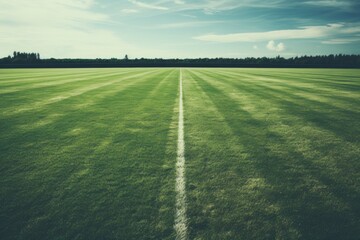 Grass field for football