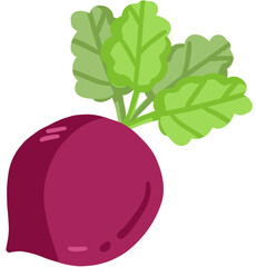 illustration of beetroot, fresh vegetable.