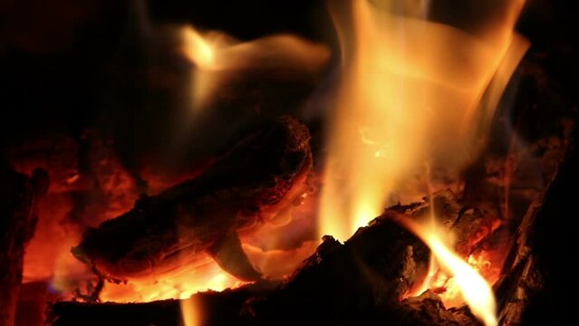Camp fire at night, close up, nature background
