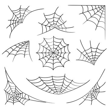 Cobweb collection isolated on white background. Line art. Gossamer. Spiderweb outline sign. Black and white vector illustration.
