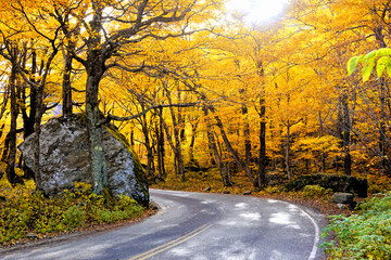 Vibrant autumn colors in the sun with winding Smuggler's Notch road, Vermont, USA - obrazy, fototapety, plakaty