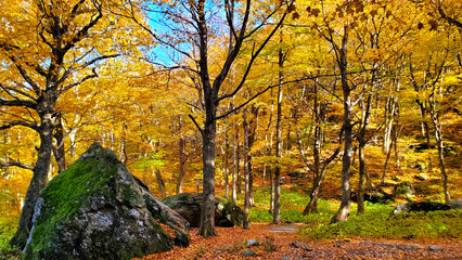 Fototapeta na wymiar Beautiful fall colors of Smuggler's Notch, Vermont, USA