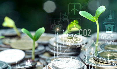 carbon credit concept, green business concept