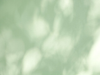 Leaf shadow and light on a green concrete wall, overlay effect for photo, mock up, product, wall art, design presentation