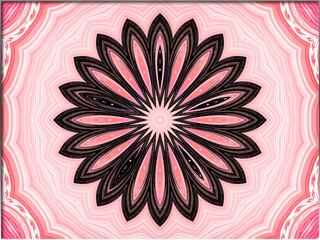 Abstract, Floral Pink Design, 3d, with wavy Patterns, within a Border