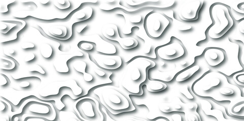 Topographic map. Geographic mountain relief. Abstract lines background. Topo contour map on white background, Topographic contour lines vector map seamless pattern vector illustration.