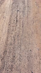 grunge background with space for text or image. sand texture