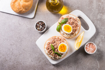 Fototapeta na wymiar Toast with Canned Tuna. Fish open sandwich with egg and cheese. 