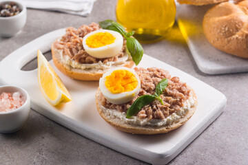 Toast with Canned Tuna. Fish open sandwich with egg and cheese. 