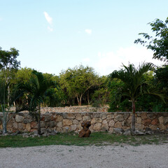 Et alien yucat&aacute;n 