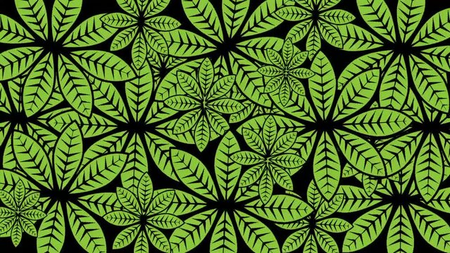 Animated rotating big leaf green flower background with a black screen