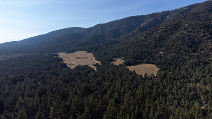 Los Padres National Forest near Mount Pi&ntilde;os, Kern County, California