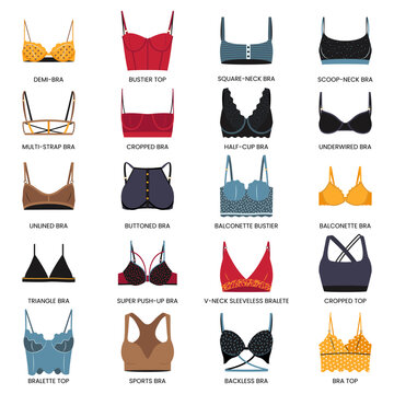 Types of bras. Big vector set of lingerie.