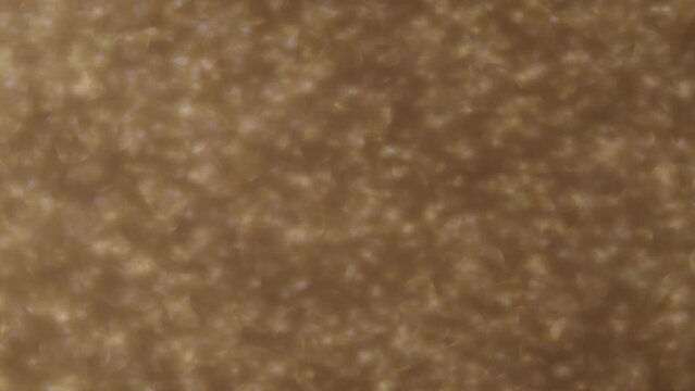 gold particles moving to the top