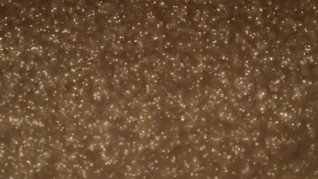 real golden particle moving background