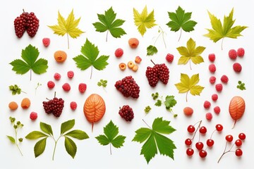 Floral pattern of viburnum red fruits hops green - obrazy, fototapety, plakaty