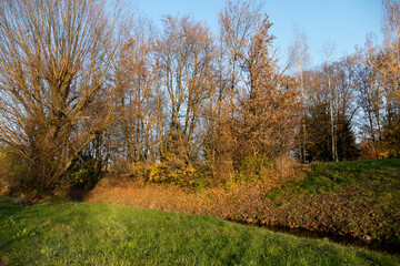 Sonnenuntergang am Ooser Landgraben in Baden-Baden Sandweier