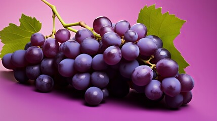 Fototapeta premium bunch of grapes