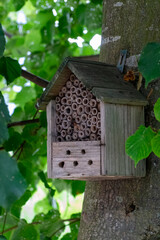 Insect hotel on a tree