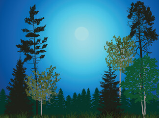 Fototapeta premium green forest on dark blue background illustration