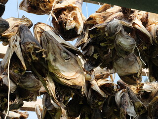 Norv&egrave;ge - NYKSUND