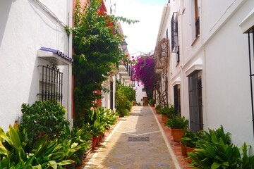 Fototapeta na wymiar narrow alley with many flowers and plants in the old town of Marbella, Málaga, Andalusia, Spain