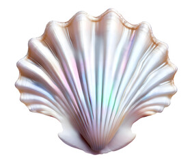 Isolated seashell scallop made of pearl, computer generated illustration for use as decoration element