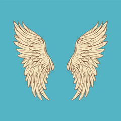 Obraz premium Vector Wings Icon. Vintage Angel Wings Icon, Design Template, Clipart. Cupid, Angel or Bird Wings. Vector illustration