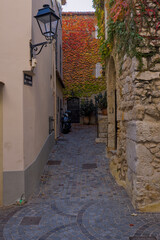 Wall in a side street covered with colorful leaves in old town of Antibes, France