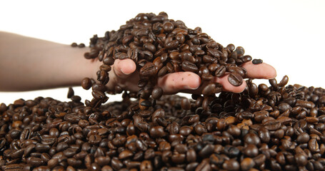 Coffee Beans Falling against White Background