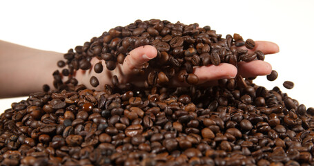 Coffee Beans Falling against White Background