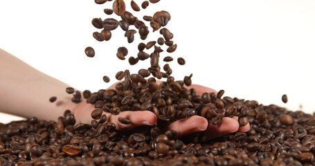 Coffee Beans Falling against White Background