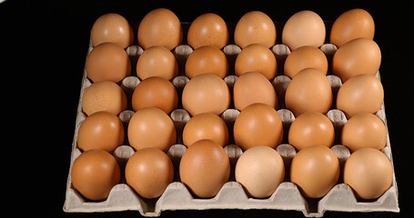 Chicken Eggs against Black Background