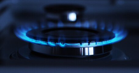 Gas Stove Burners, Blue Flame