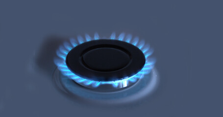 Gas Stove Burners, Blue Flame
