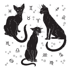 Black cats witch familiar spirit set halloween or pagan witchcraft theme print design vector illustration © croisy