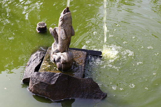 Fish Sculpture Pond Fountain