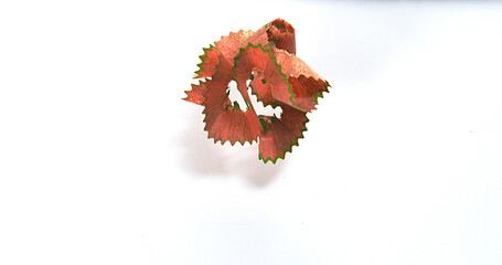 Sharpenered Color Pencil against White Background