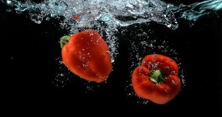 Red Sweet Pepper, capsicum annuum, Vegetable falling into Water against Black Background
