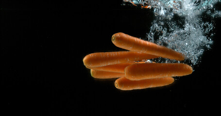 Carrots, daucus carota, Vegetables Entering Water against Black Background