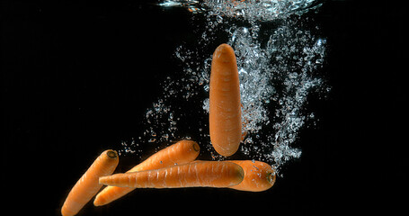 Carrots, daucus carota, Vegetables Entering Water against Black Background