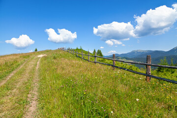 Green mountain meadow on a bright summer day, blue sky with fluffy white clouds. Ukraine, Carpathians.