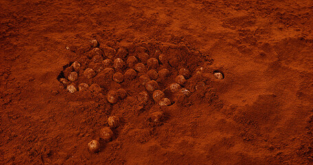 Hazelnuts Falling in Black Chocolate Powder