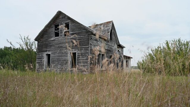 Looking through dry grass at an abandoned old farmhouse. The grass is moving slowly in a light wind.
