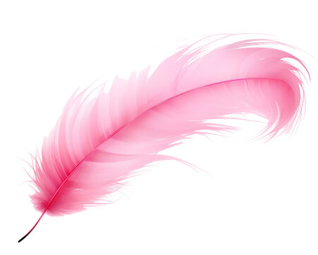 Premium Photo  Pink feathers on a white background